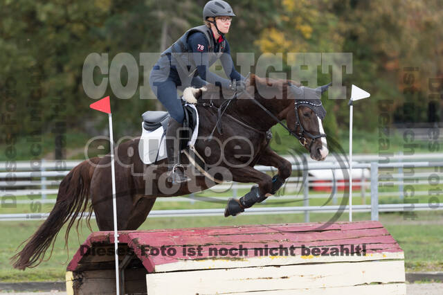 IGV Lehrgang der Sieger der Cups mit Frank Ostholt