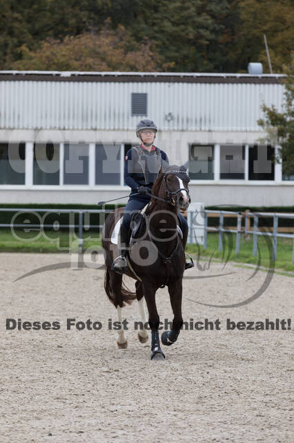 IGV Lehrgang der Sieger der Cups mit Frank Ostholt