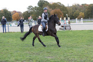 IGV Lehrgang der Sieger der Cups mit Frank Ostholt