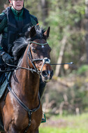 Geländetraining ZRFV Hamminkeln (24+25.04.2021)