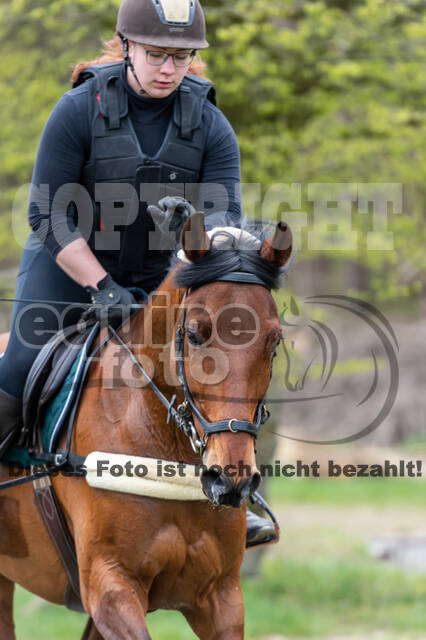 Geländetraining ZRFV Hamminkeln (24+25.04.2021)