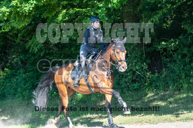 Test of Choise Langenfeld (29.+30.05.2021)