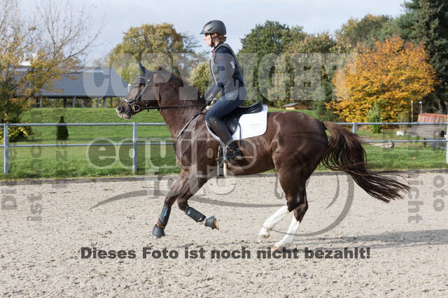 IGV Lehrgang der Sieger der Cups mit Frank Ostholt