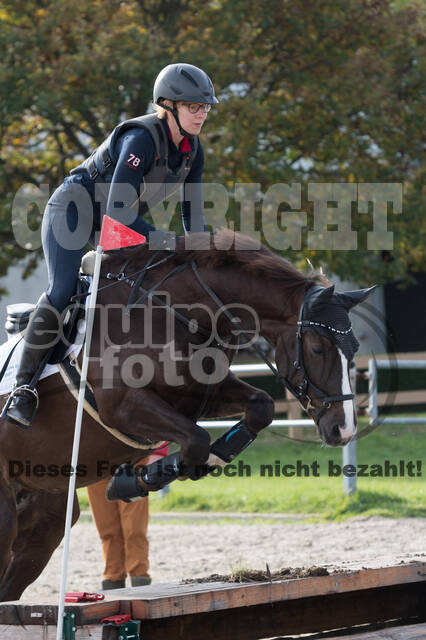 IGV Lehrgang der Sieger der Cups mit Frank Ostholt