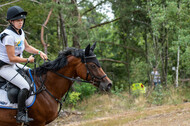 Late-Entry Vielseitigkeit Hamminkeln/Wesel (01.+02.08.2020)