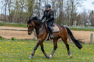 Geländetraining ZRFV Hamminkeln (24+25.04.2021)