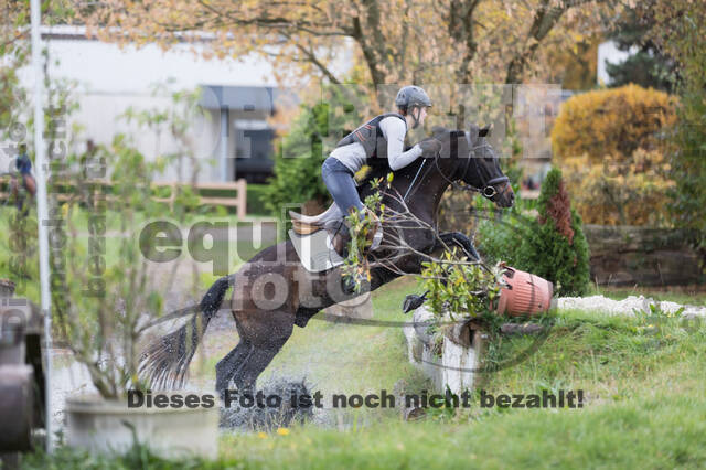 IGV Lehrgang der Sieger der Cups mit Frank Ostholt