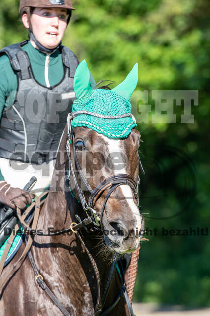 Test of Choise Langenfeld (29.+30.05.2021)