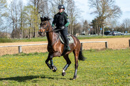 Geländetraining ZRFV Hamminkeln (24+25.04.2021)