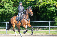 Test of Choise Langenfeld (29.+30.05.2021)