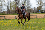 Geländetraining ZRFV Hamminkeln (24+25.04.2021)