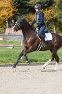 IGV Lehrgang der Sieger der Cups mit Frank Ostholt