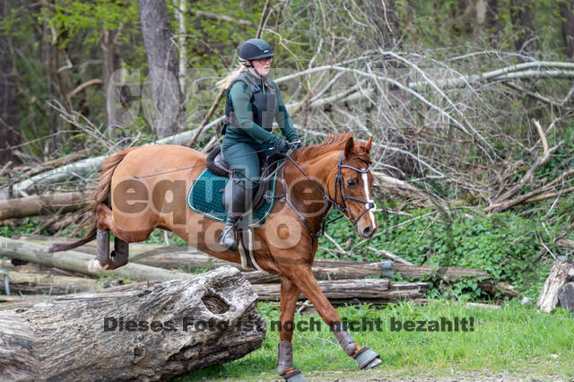 Geländetraining ZRFV Hamminkeln (24+25.04.2021)