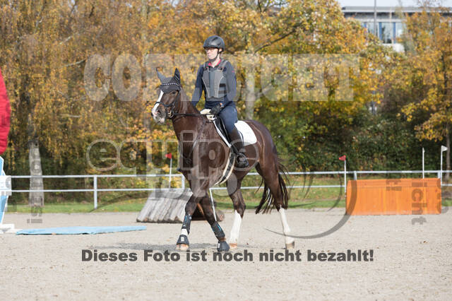 IGV Lehrgang der Sieger der Cups mit Frank Ostholt