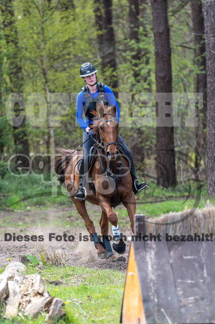 Geländetraining ZRFV Hamminkeln (24+25.04.2021)