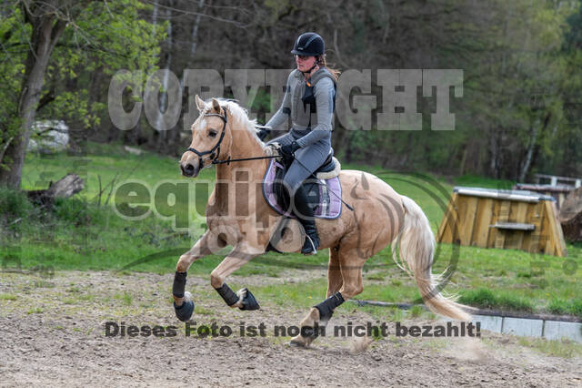 Geländetraining ZRFV Hamminkeln (24+25.04.2021)