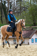 Geländetraining ZRFV Hamminkeln (24+25.04.2021)