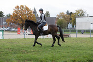 IGV Lehrgang der Sieger der Cups mit Frank Ostholt