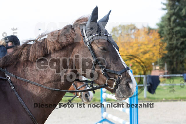 IGV Lehrgang der Sieger der Cups mit Frank Ostholt