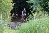 Late-Entry Vielseitigkeit Hamminkeln/Wesel (01.+02.08.2020)