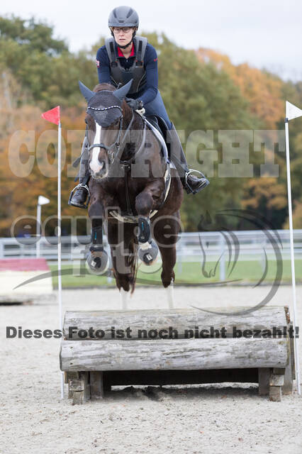 IGV Lehrgang der Sieger der Cups mit Frank Ostholt