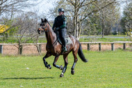 Geländetraining ZRFV Hamminkeln (24+25.04.2021)