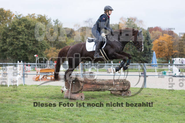 IGV Lehrgang der Sieger der Cups mit Frank Ostholt