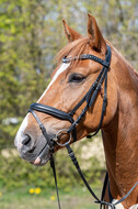 Geländetraining ZRFV Hamminkeln (24+25.04.2021)