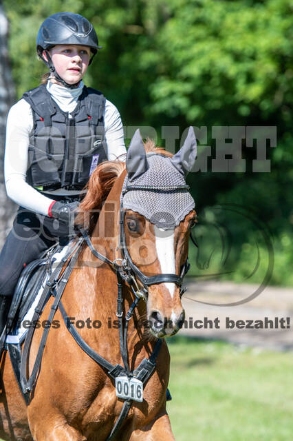 Test of Choise Langenfeld (29.+30.05.2021)