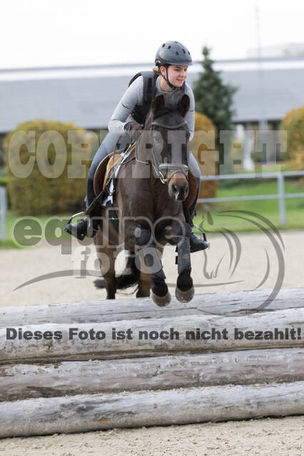 IGV Lehrgang der Sieger der Cups mit Frank Ostholt