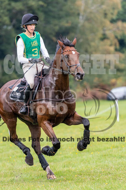 Deutsche Meisterschaft Vielseitigkeit (Luhmühlen)