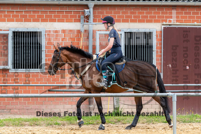 Hunter Geländetraining 10.07.2021 (Sonsbeck)