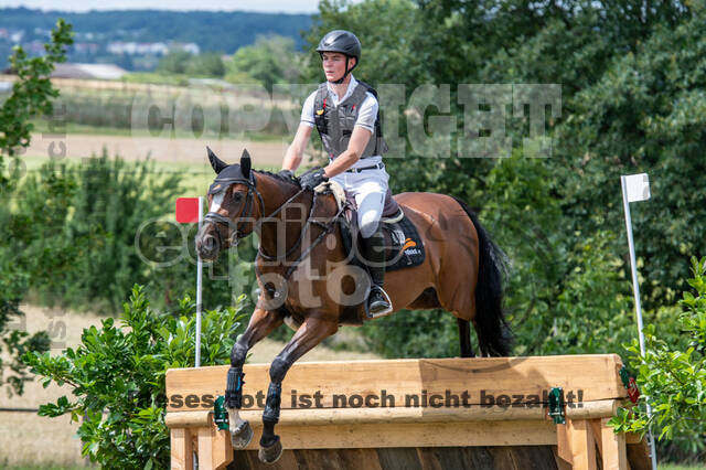 Bonn-Rodderberg Late-Entry-Vielseitigkeit (30.06.2020)