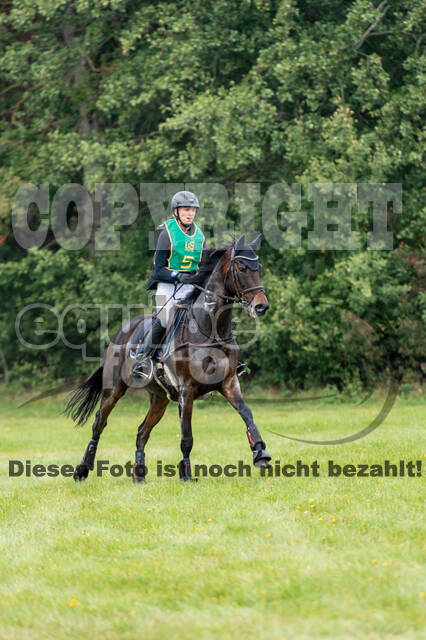 Deutsche Meisterschaft Vielseitigkeit (Luhmühlen)