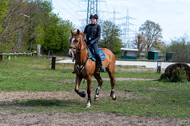 Geländetraining ZRFV Hamminkeln (24+25.04.2021)