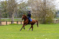 Geländetraining ZRFV Hamminkeln (24+25.04.2021)