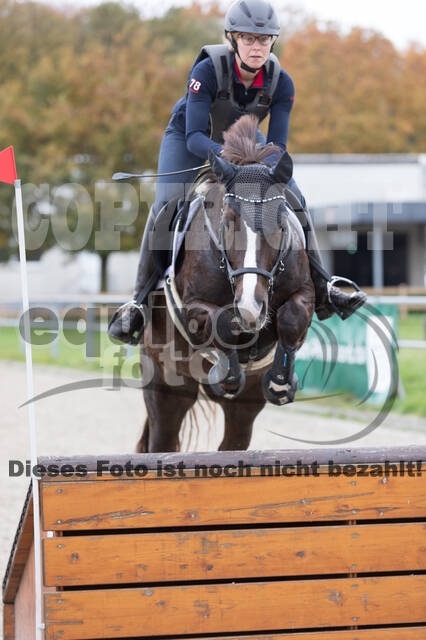 IGV Lehrgang der Sieger der Cups mit Frank Ostholt