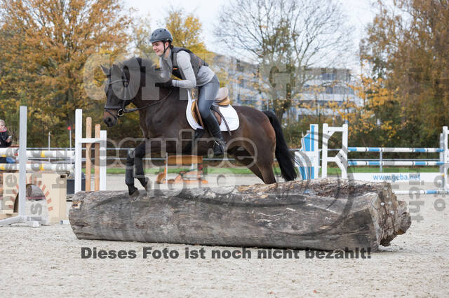 IGV Lehrgang der Sieger der Cups mit Frank Ostholt