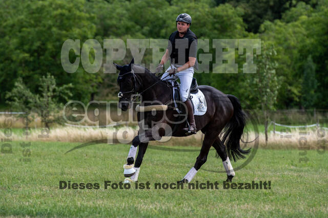 Bonn-Rodderberg Late-Entry-Vielseitigkeit (30.06.2020)