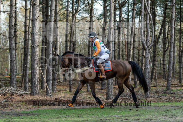 Kronenberg - De Peelbergen (02.04.2022)