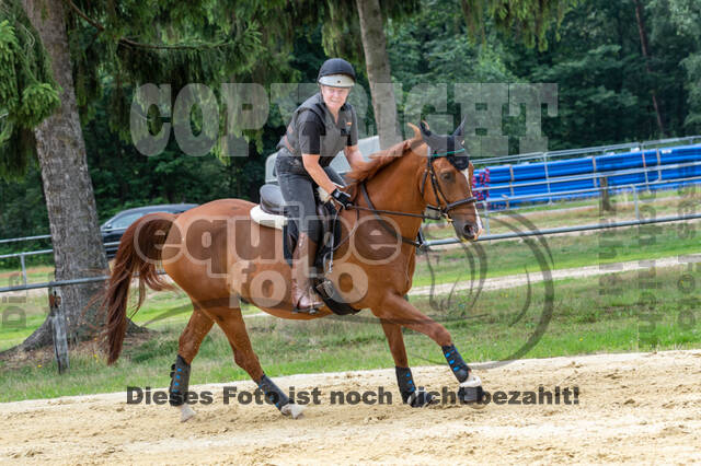 Hunter Geländetraining 10.07.2021 (Sonsbeck)