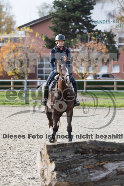 IGV Lehrgang der Sieger der Cups mit Frank Ostholt