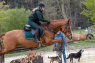 Geländetraining ZRFV Hamminkeln (24+25.04.2021)