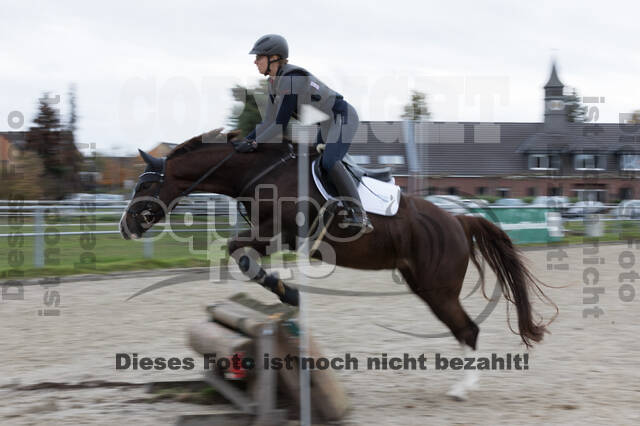 IGV Lehrgang der Sieger der Cups mit Frank Ostholt