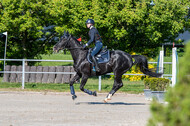 Test of Choise Langenfeld (29.+30.05.2021)