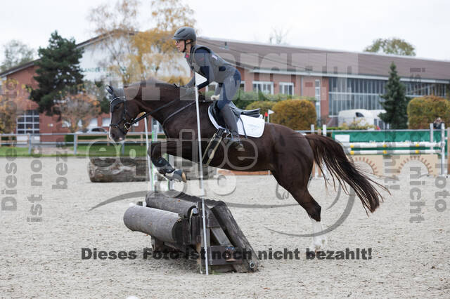 IGV Lehrgang der Sieger der Cups mit Frank Ostholt