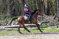 Geländetraining ZRFV Hamminkeln (24+25.04.2021)