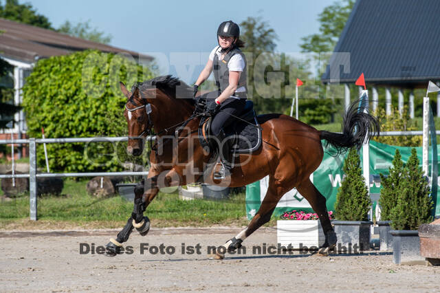 Test of Choise Langenfeld (29.+30.05.2021)
