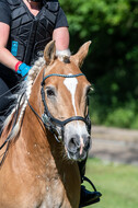 Test of Choise Langenfeld (29.+30.05.2021)