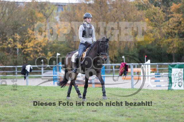 IGV Lehrgang der Sieger der Cups mit Frank Ostholt